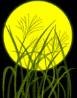 autumn moon